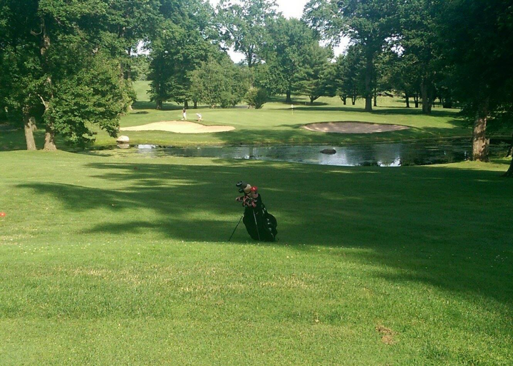 Barnyard Golf